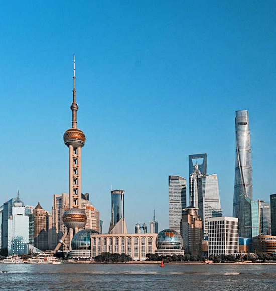 上海总公司